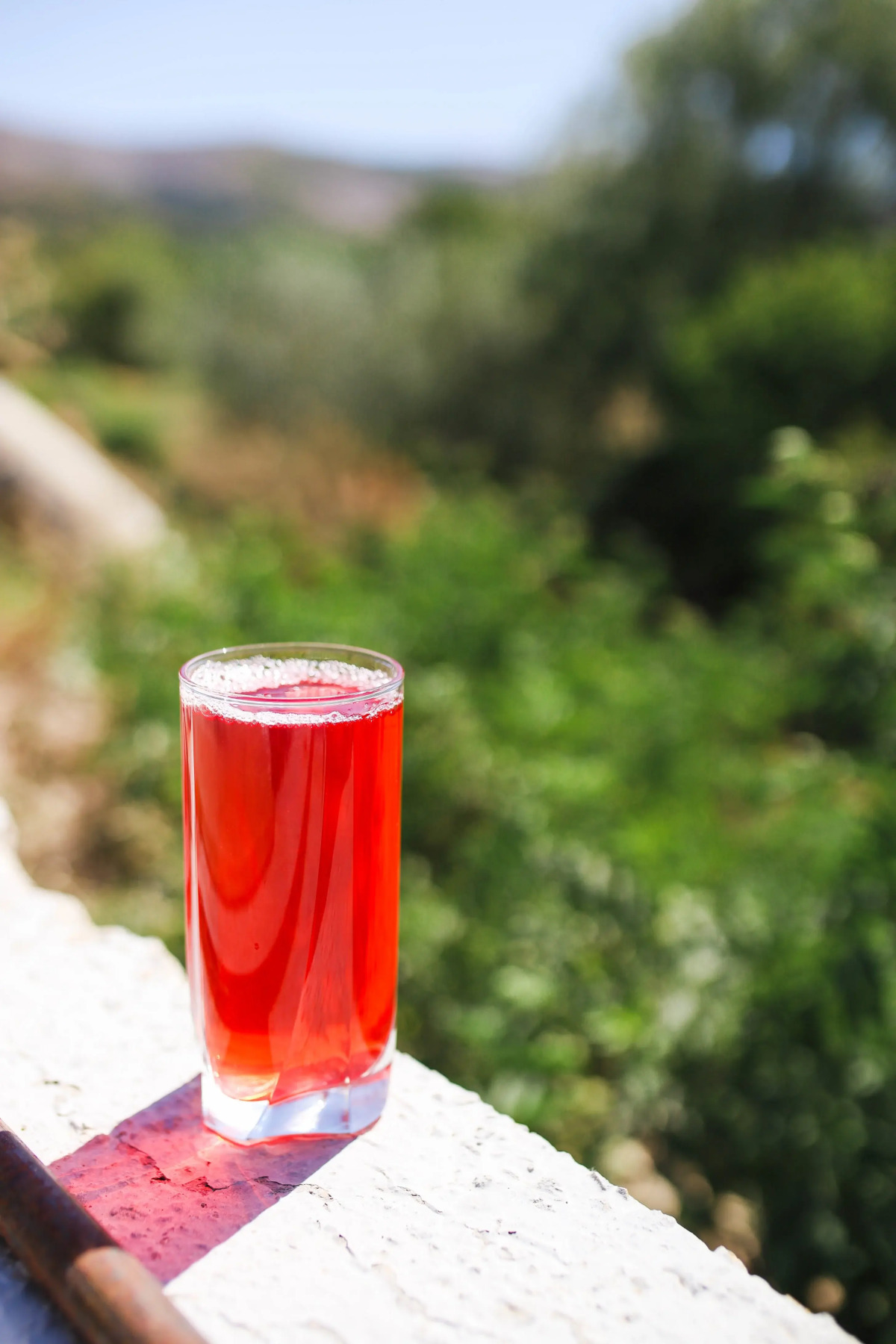 База отдыха Хижина Лесника