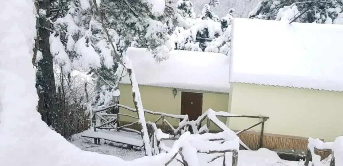 Гостевой дом Popock Dilijan