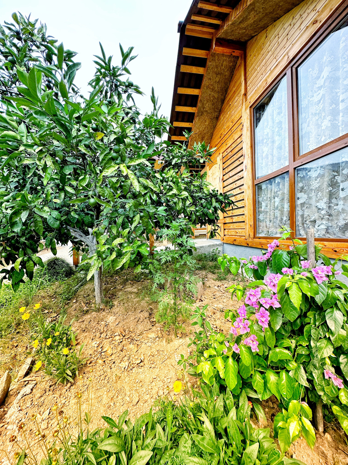 Гостевой Дом Афалин