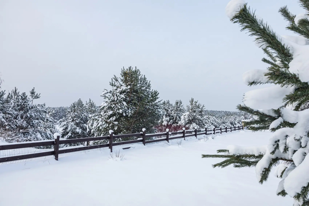 Гостевой дом Лесицкое