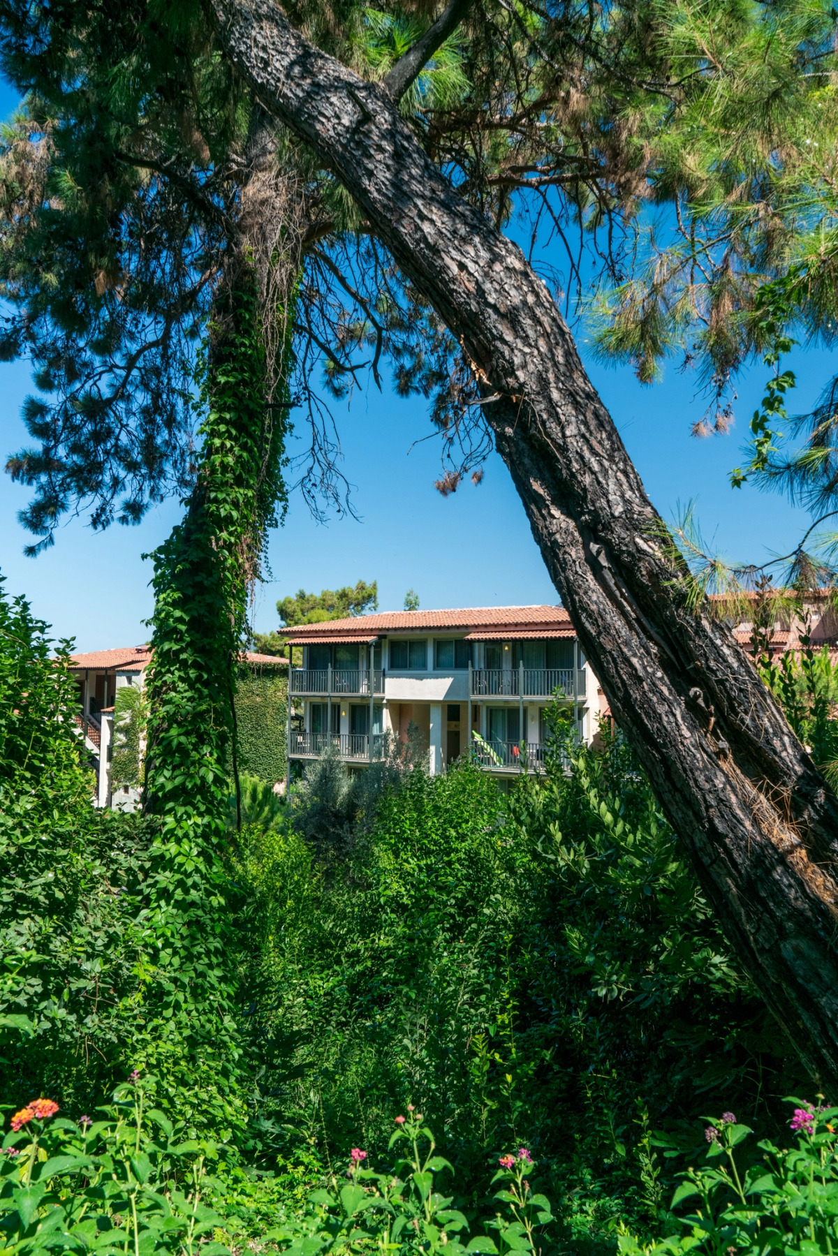 Отель Liberty Hotels Lykia - All Inclusive