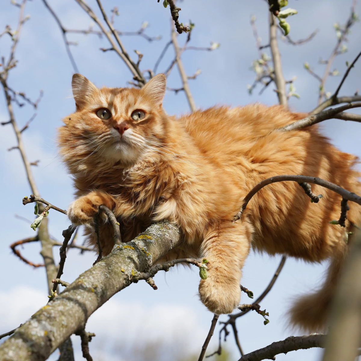 Дом Уютный в стиле Прованс