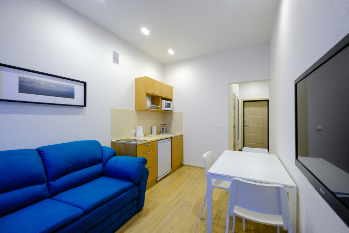 Апартаменты Петровские на Советской 90 (4)