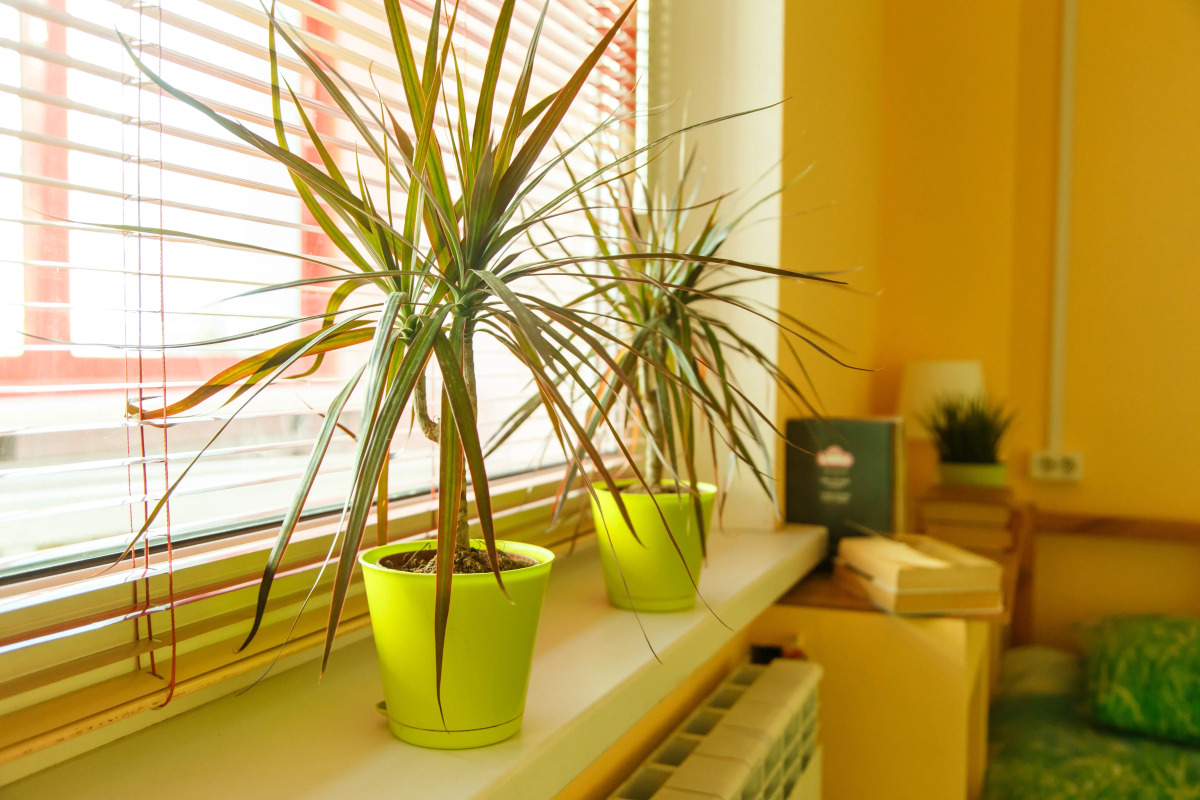 Мини-отель Вельвет