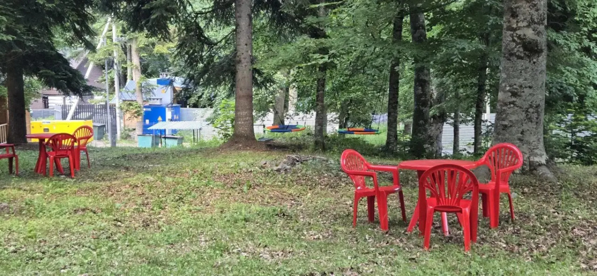 Горная Мята