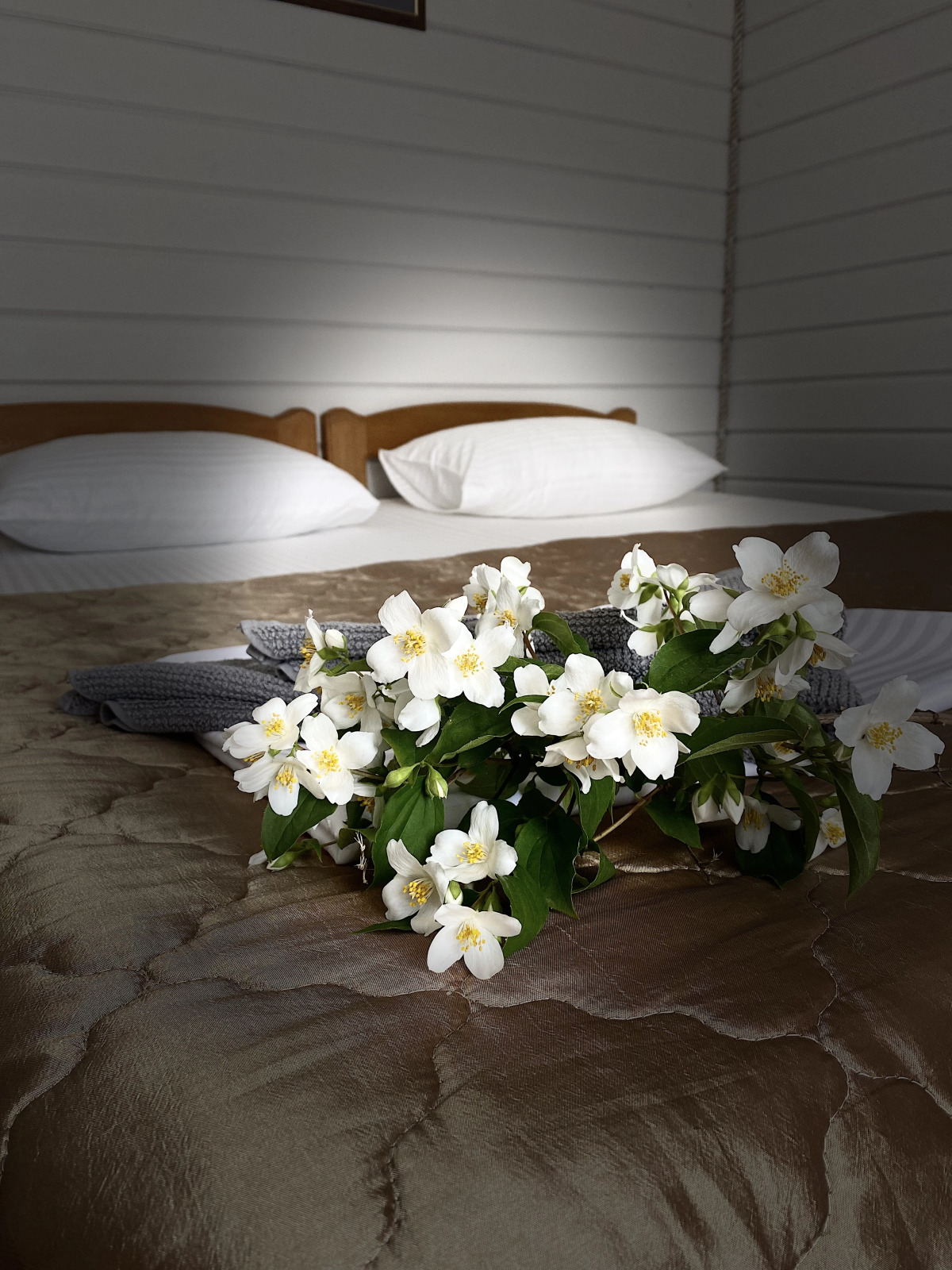 Гостевой дом Солнечный Хаджох