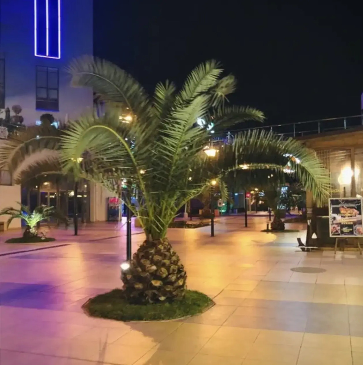 Апартаменты Лето