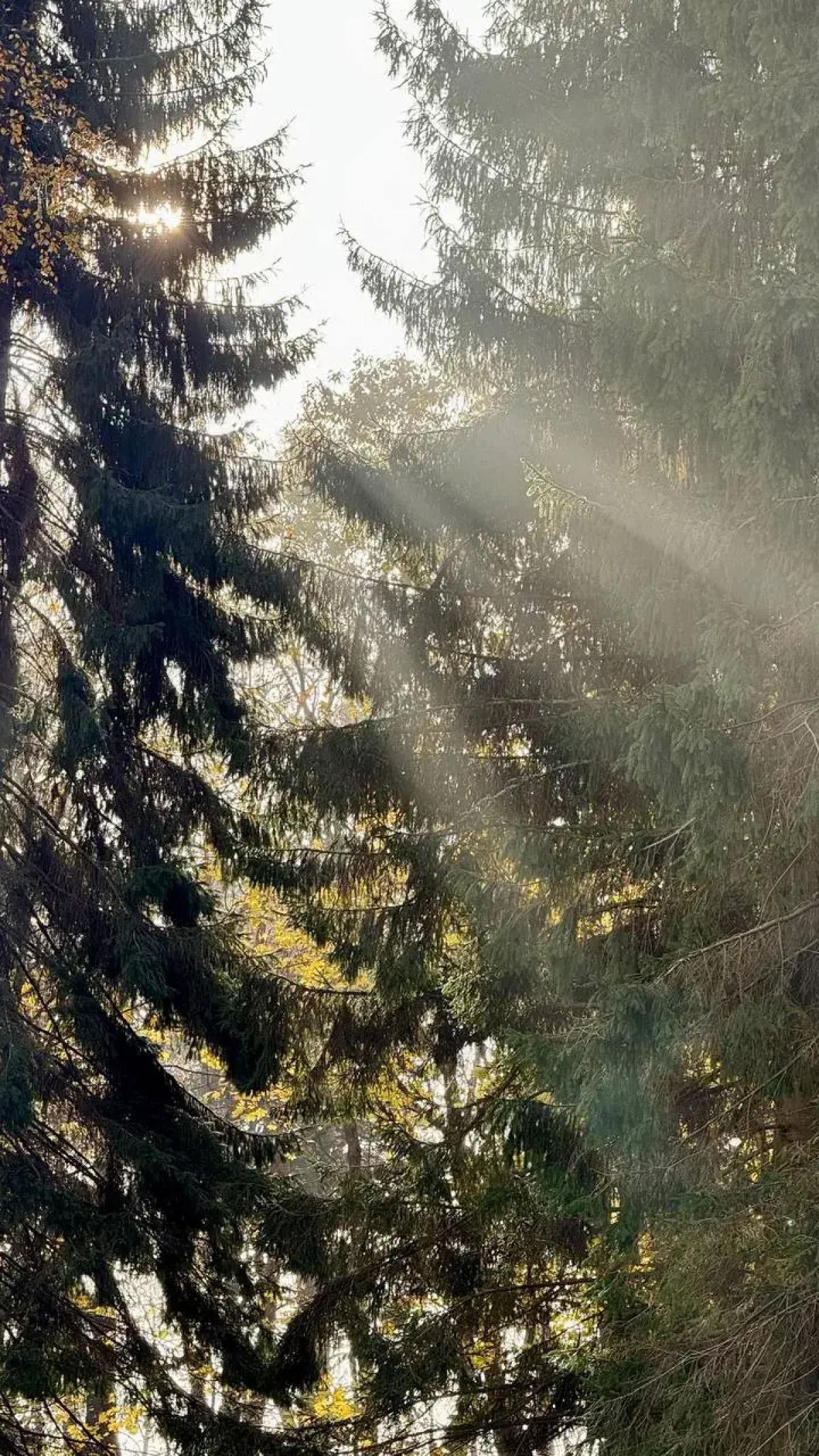 Апартаменты студия 719