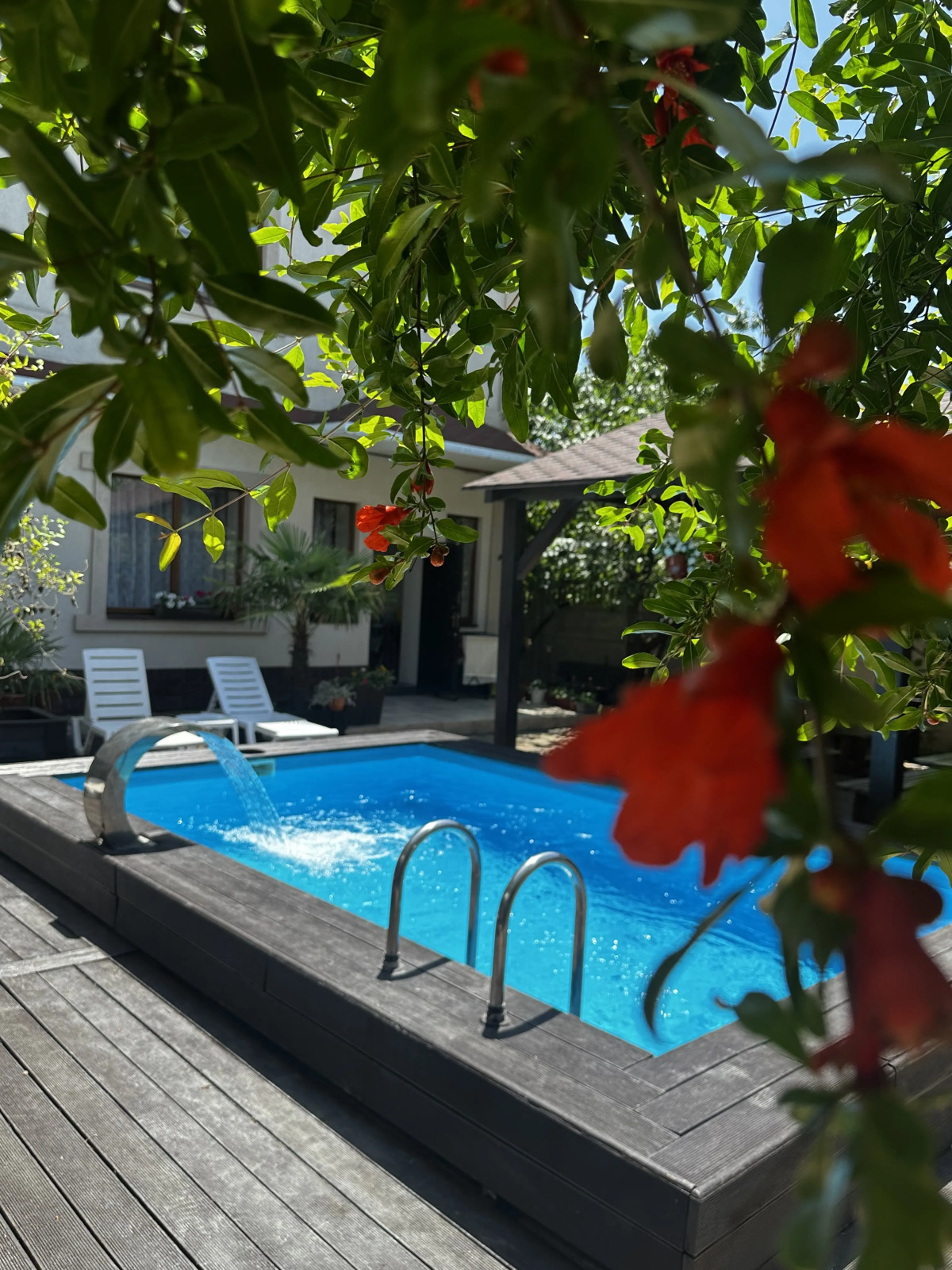 Гостевой дом Три пальмы