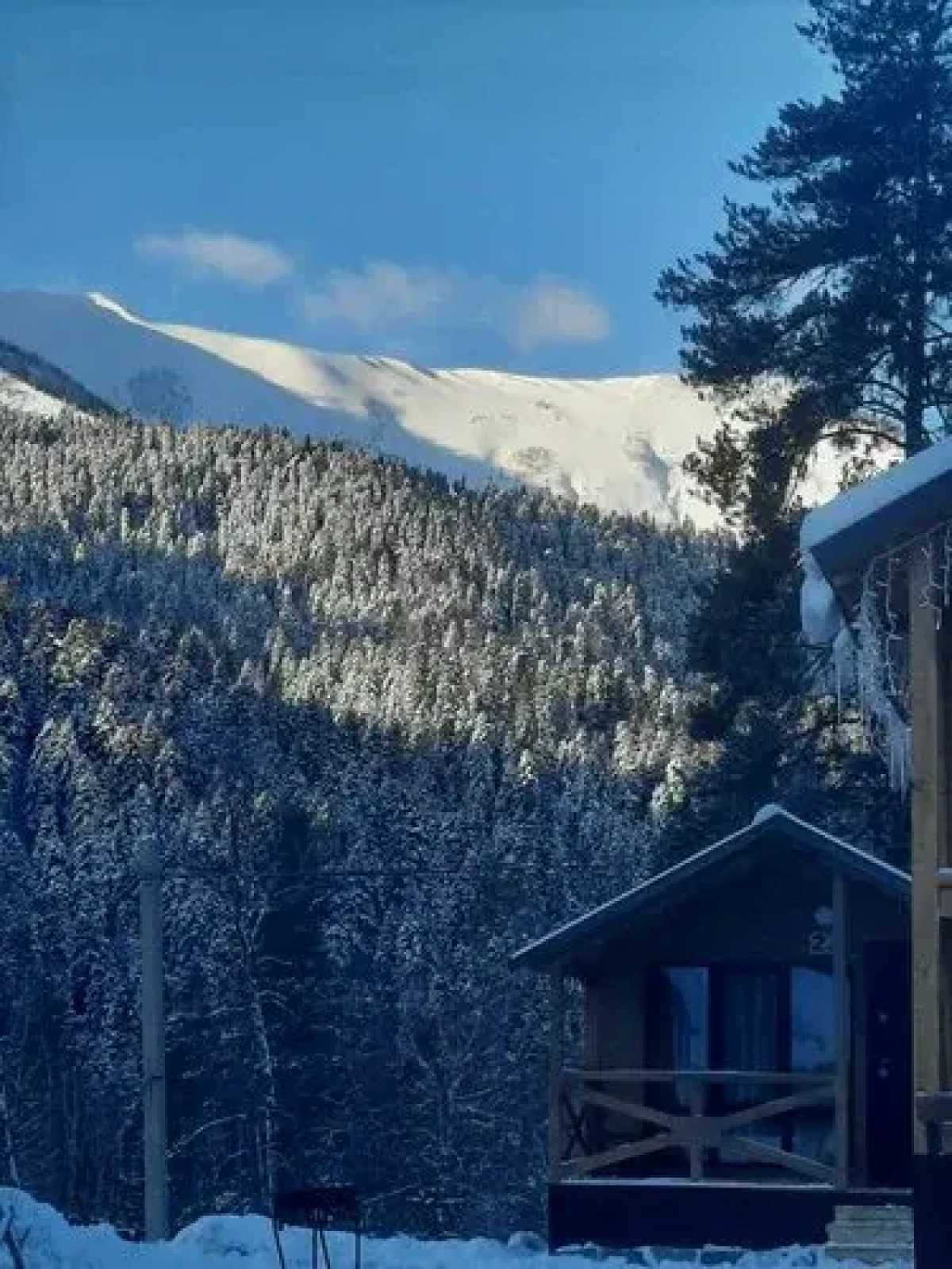 Гостевой дом Шаудан