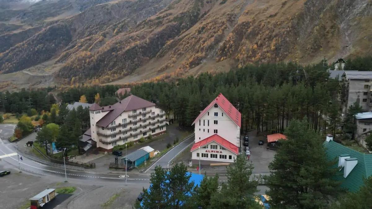 Отель Alpina