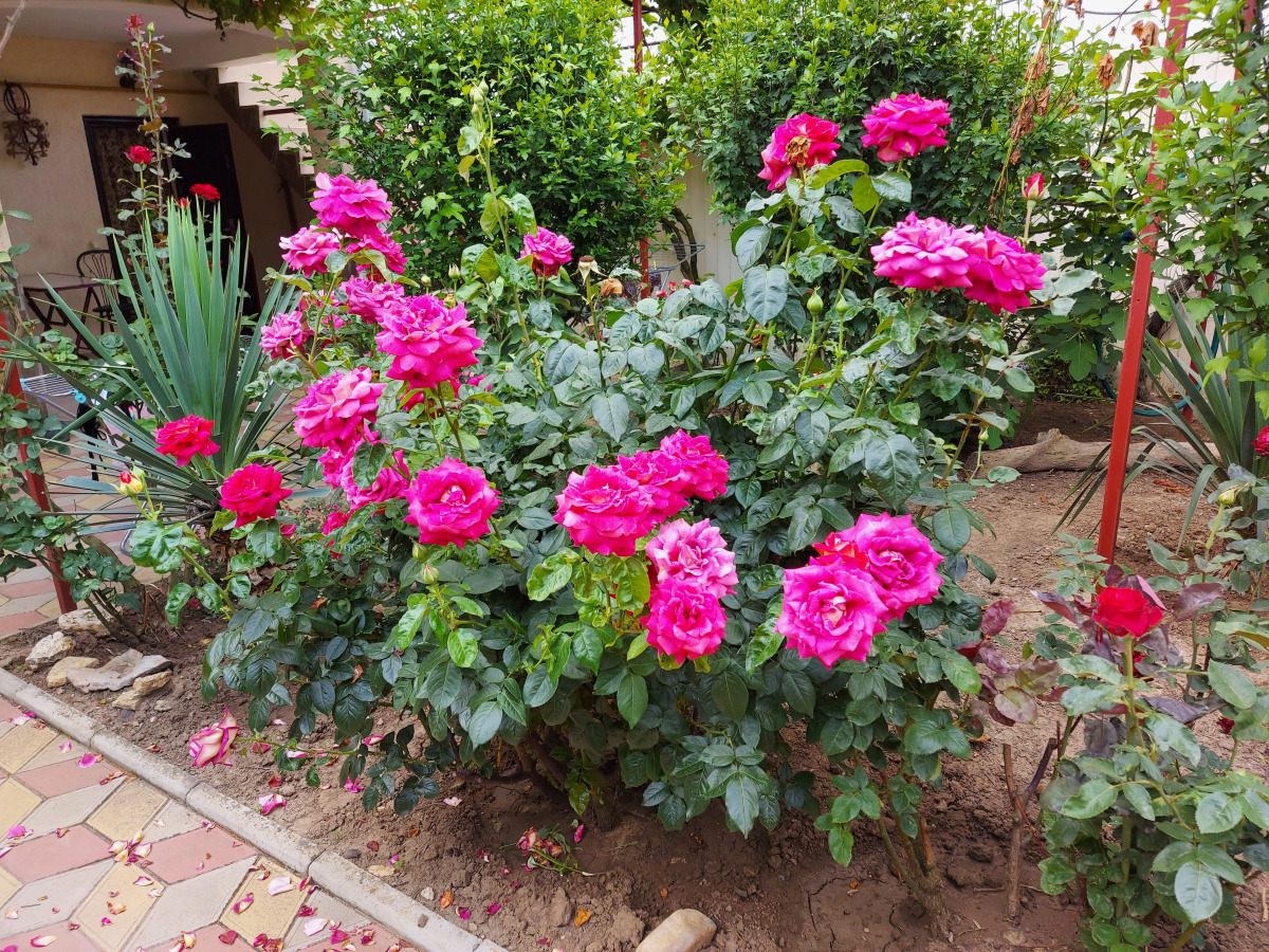 Гостевой Дом Морская 51