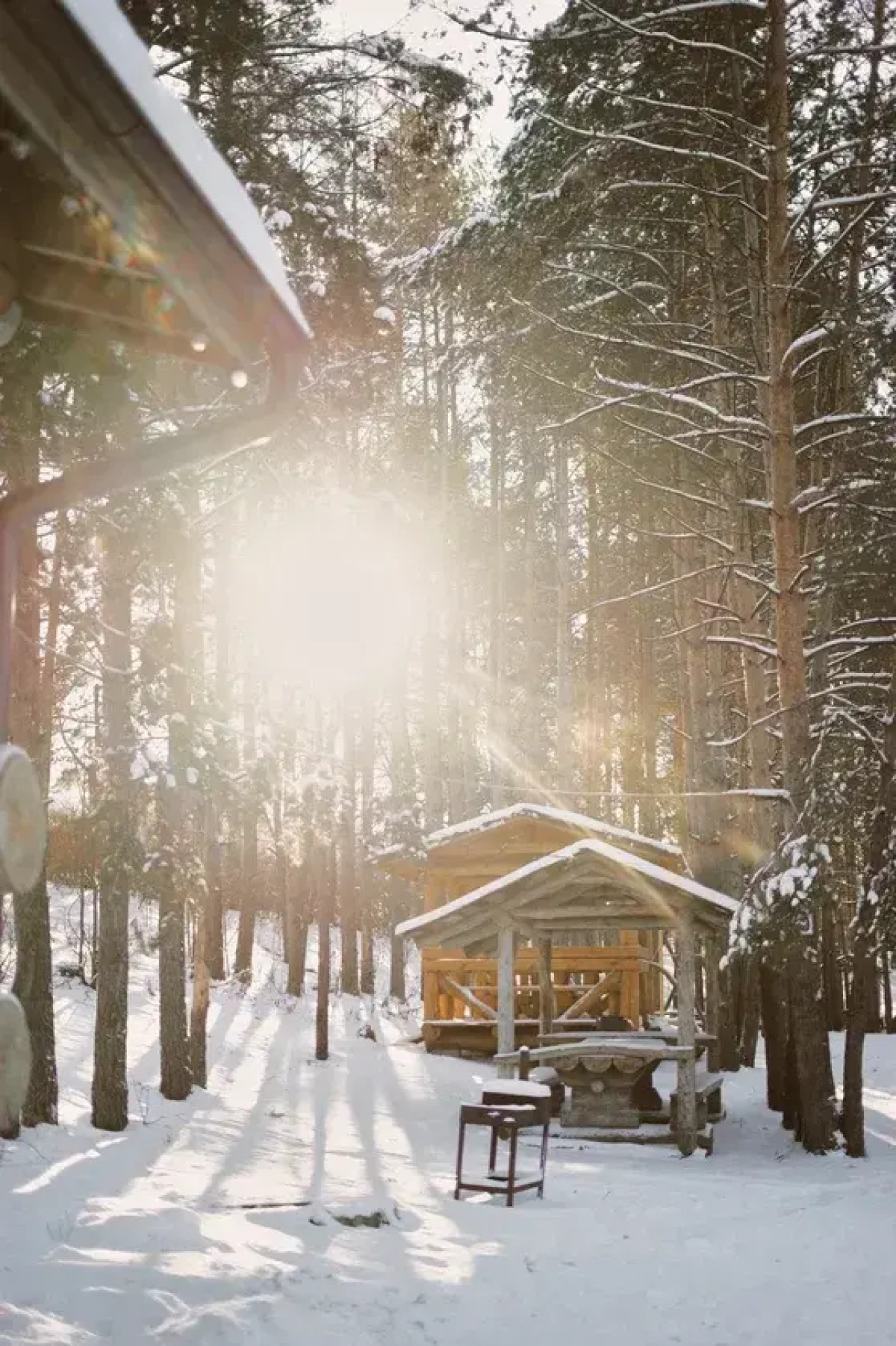 База отдыха Карельская