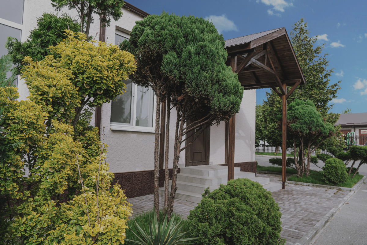 Отель Провинция