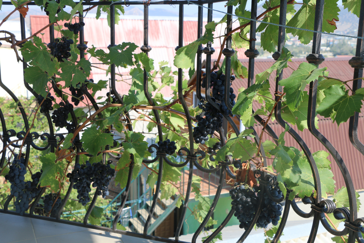 Гостевой Дом Иллен