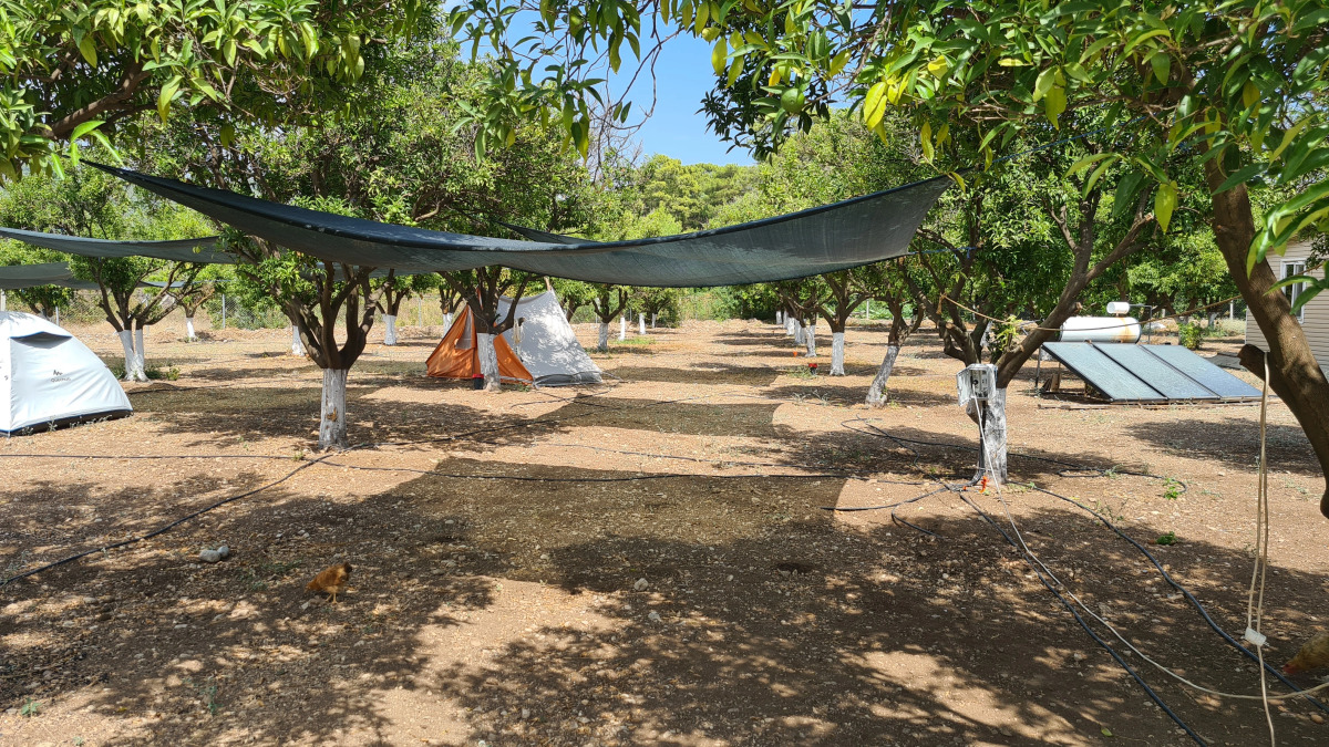 Мини-отель Orange beach camp caravan club