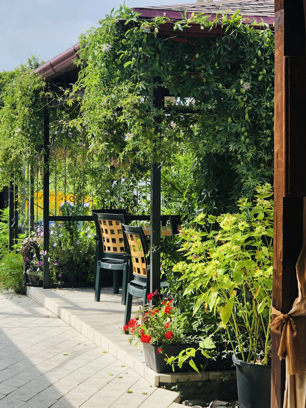 Гостевой дом Морская сказка