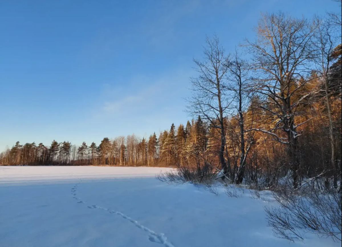 Эко Апартаменты с Внутренним Двориком