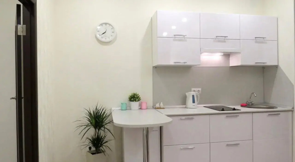 Квартира с прекрасным видом на реку Волхов