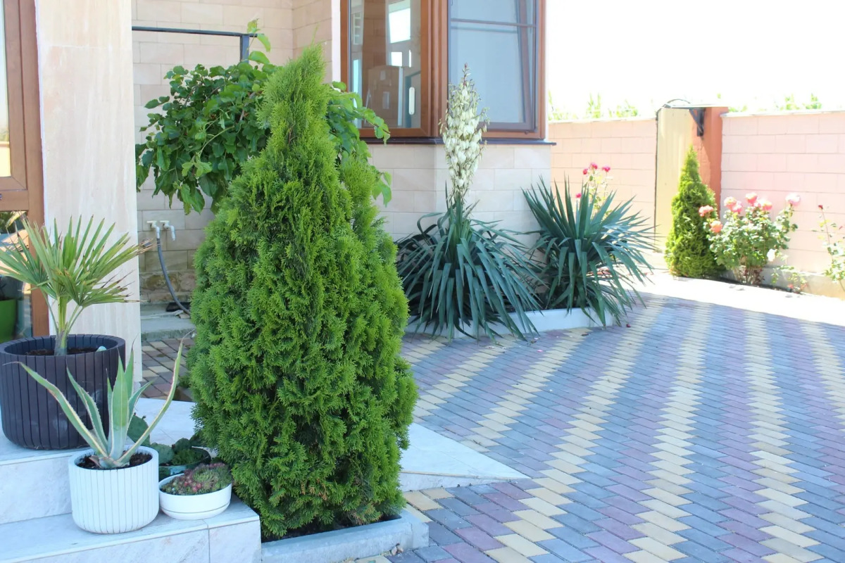 Гостевой дом Ангелина