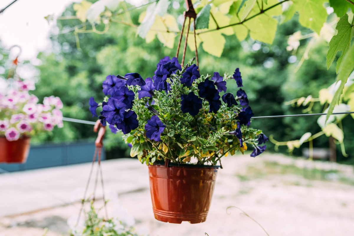 Гостевой дом Камменка