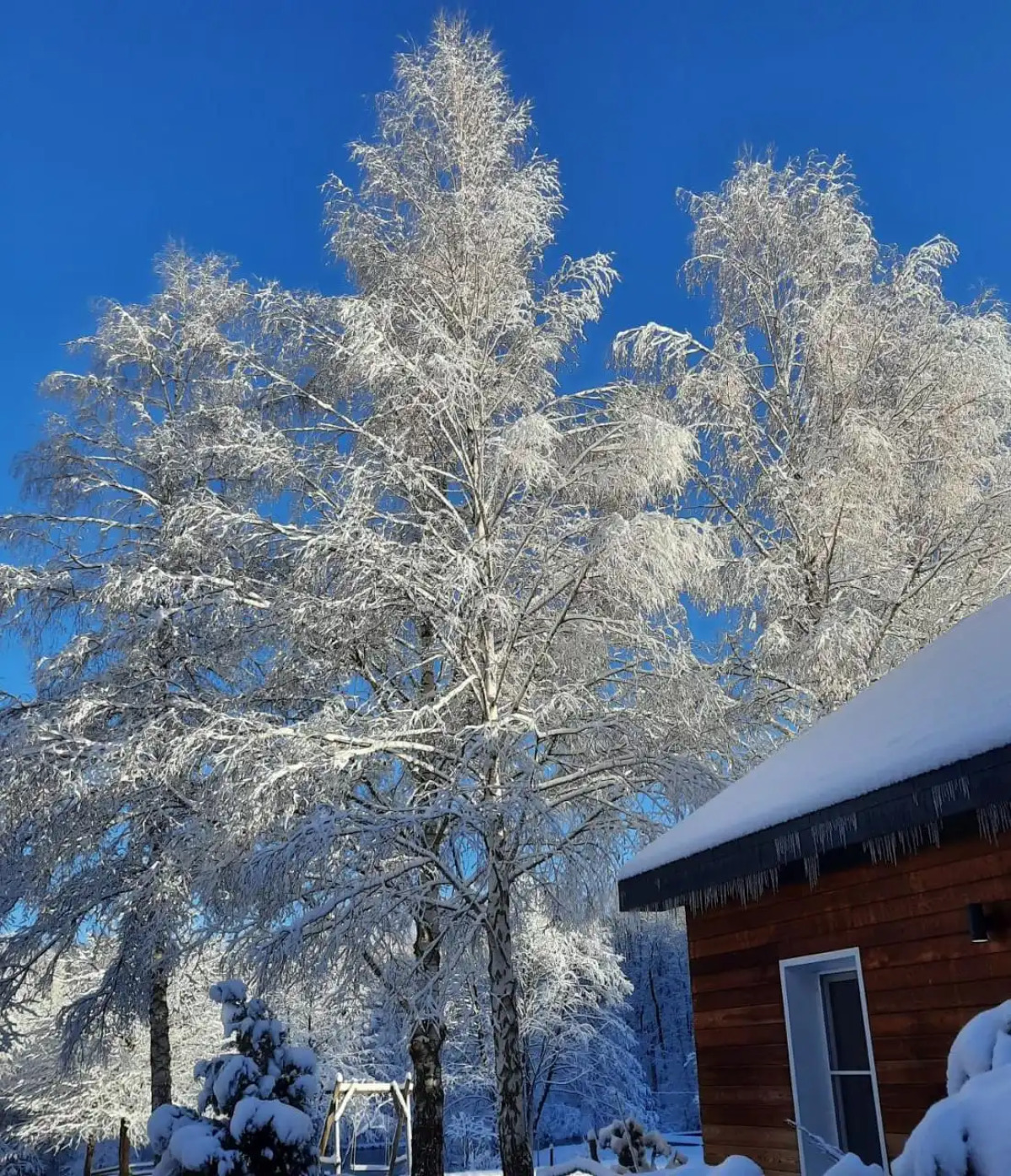 Парк-отель Пихтовый Бор