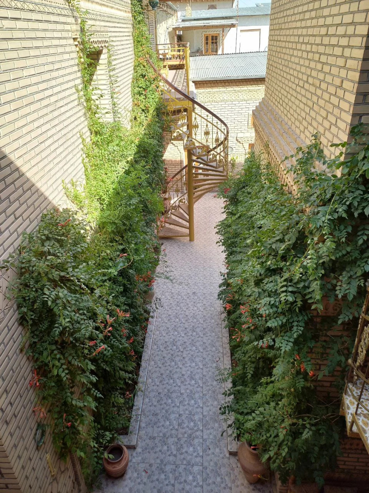 Отель Sasha & Son