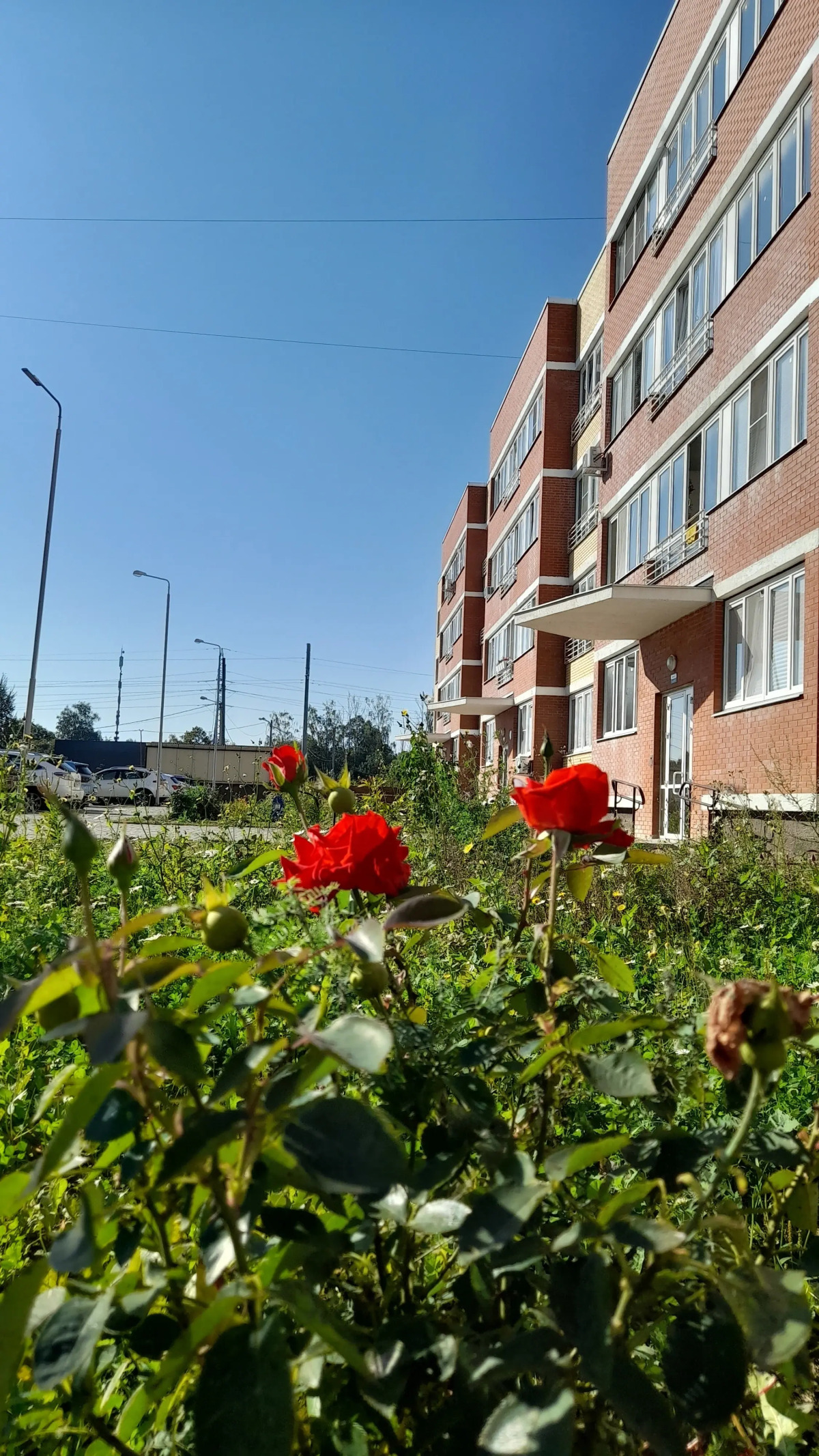 Квартира в ЖК Малая Истра 17