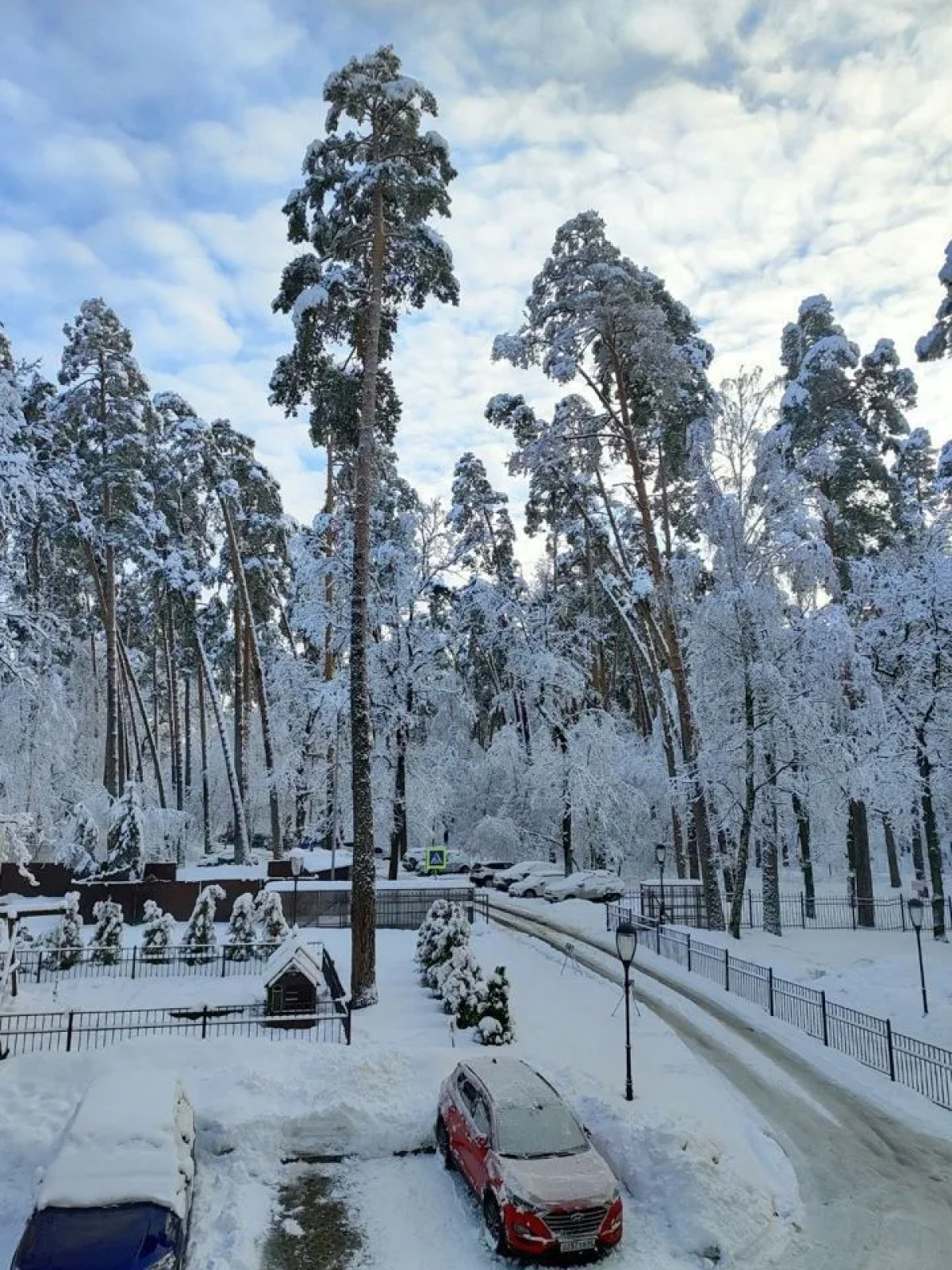 Квартира в сосновом лесу ЖК Гринпарк Солотча