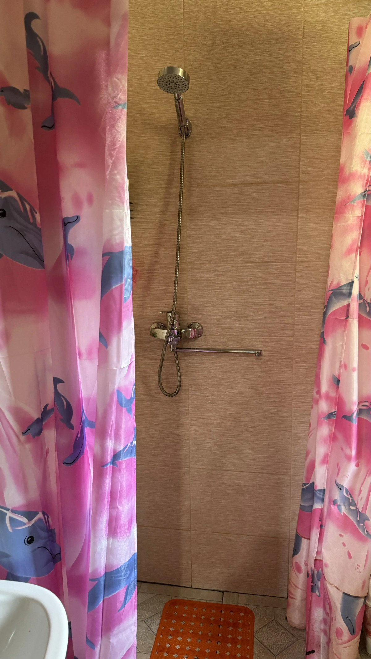 Частный дом Агроусадьба Лесная Тишина в Беловежской пуще