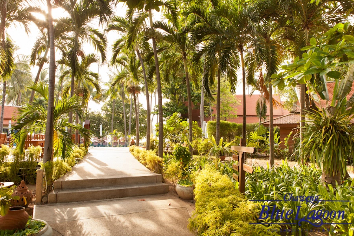 Отель Chaweng Bluelagoon