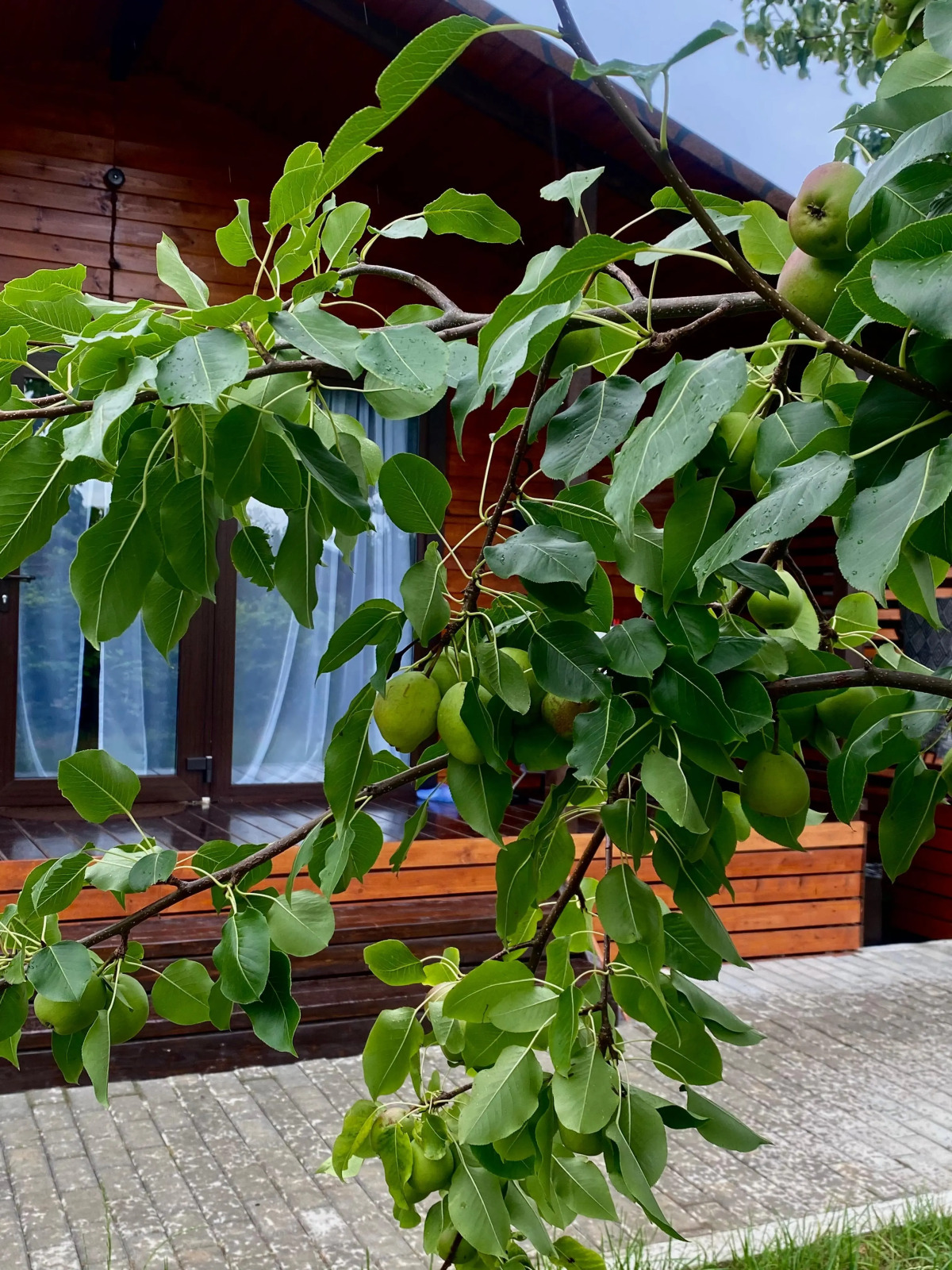 База отдыха San Siro cottage house