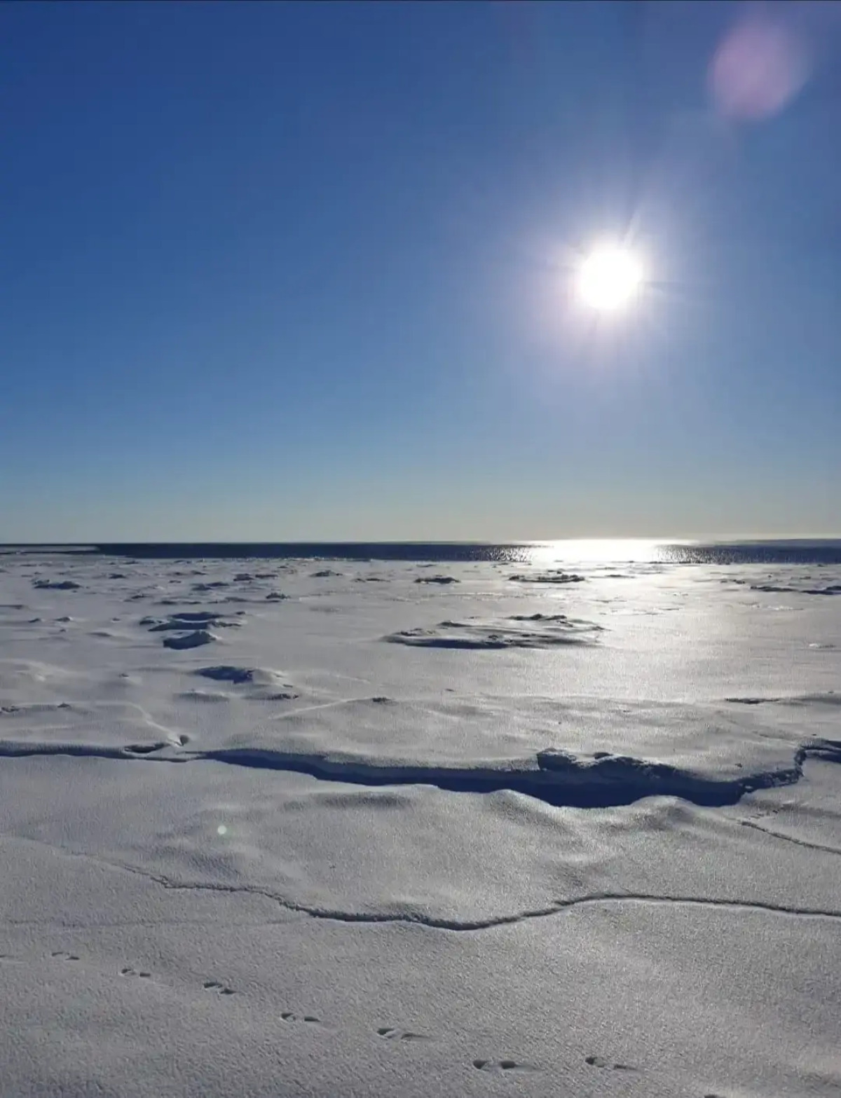 Гостевой дом с сауной вблизи реки и озера Ладоги Лисий берег