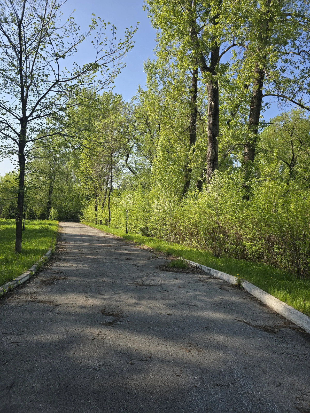 Отель Бизнес Пушкинъ