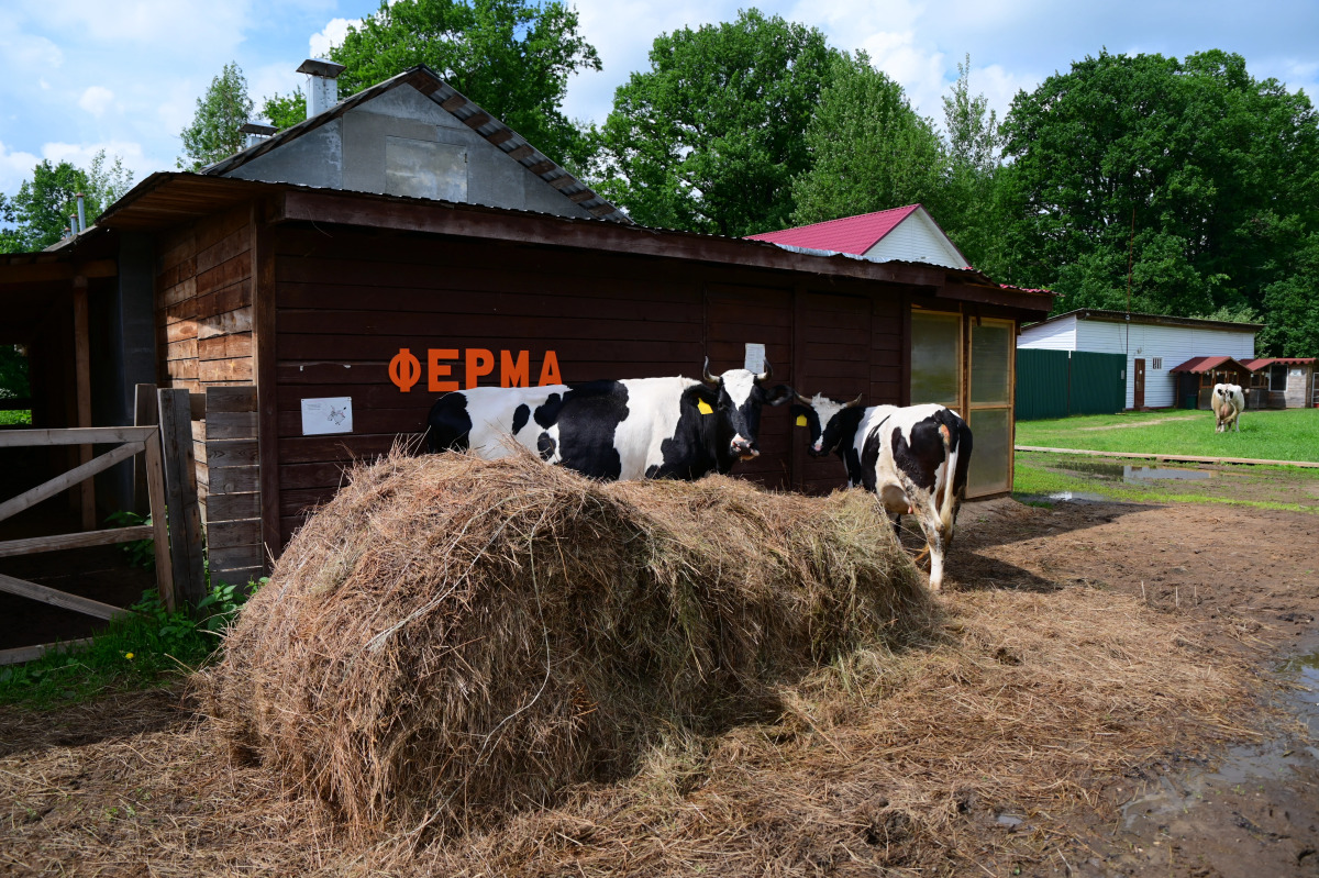 Отель ВКС-Кантри