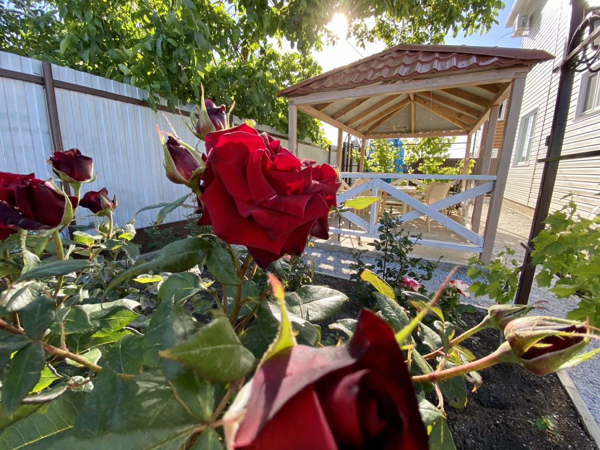 Гостевой дом 38 Попугаев