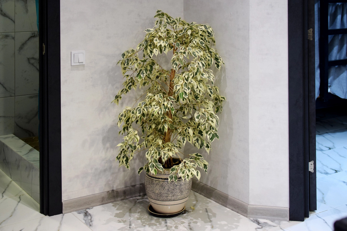 Хостел АртХаус