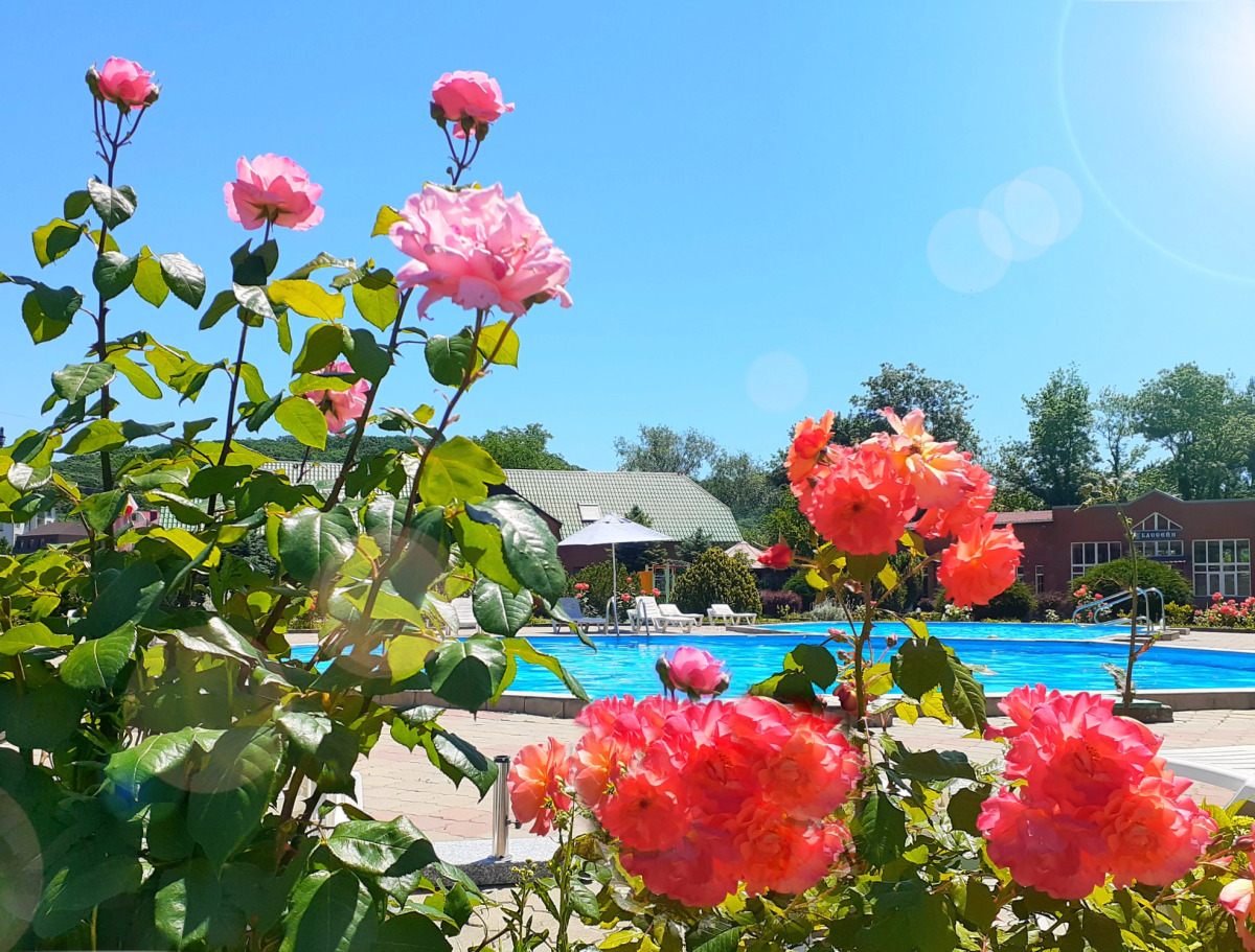 Курортный комплекс Садко