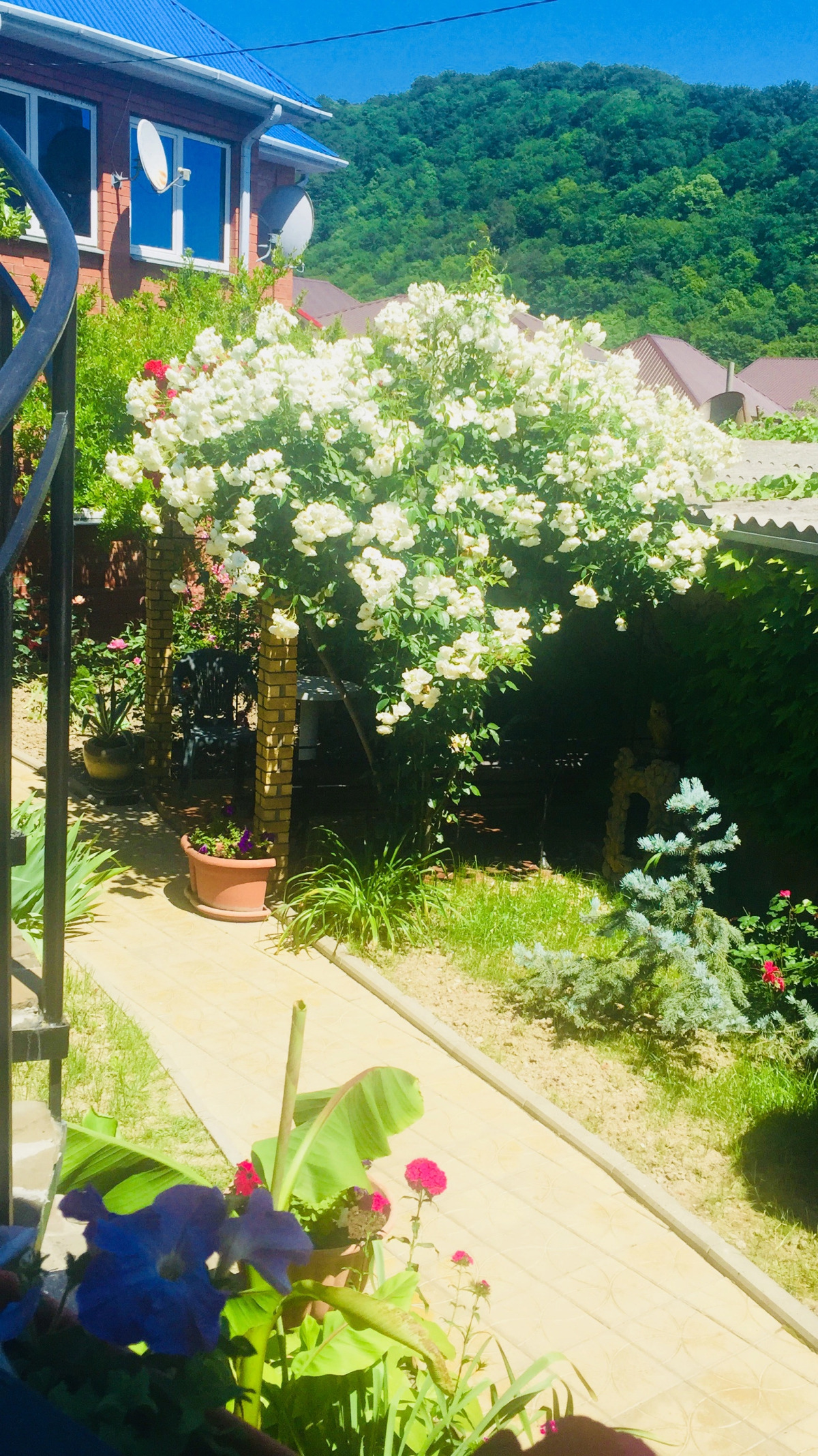 Гостевой дом Черноморье