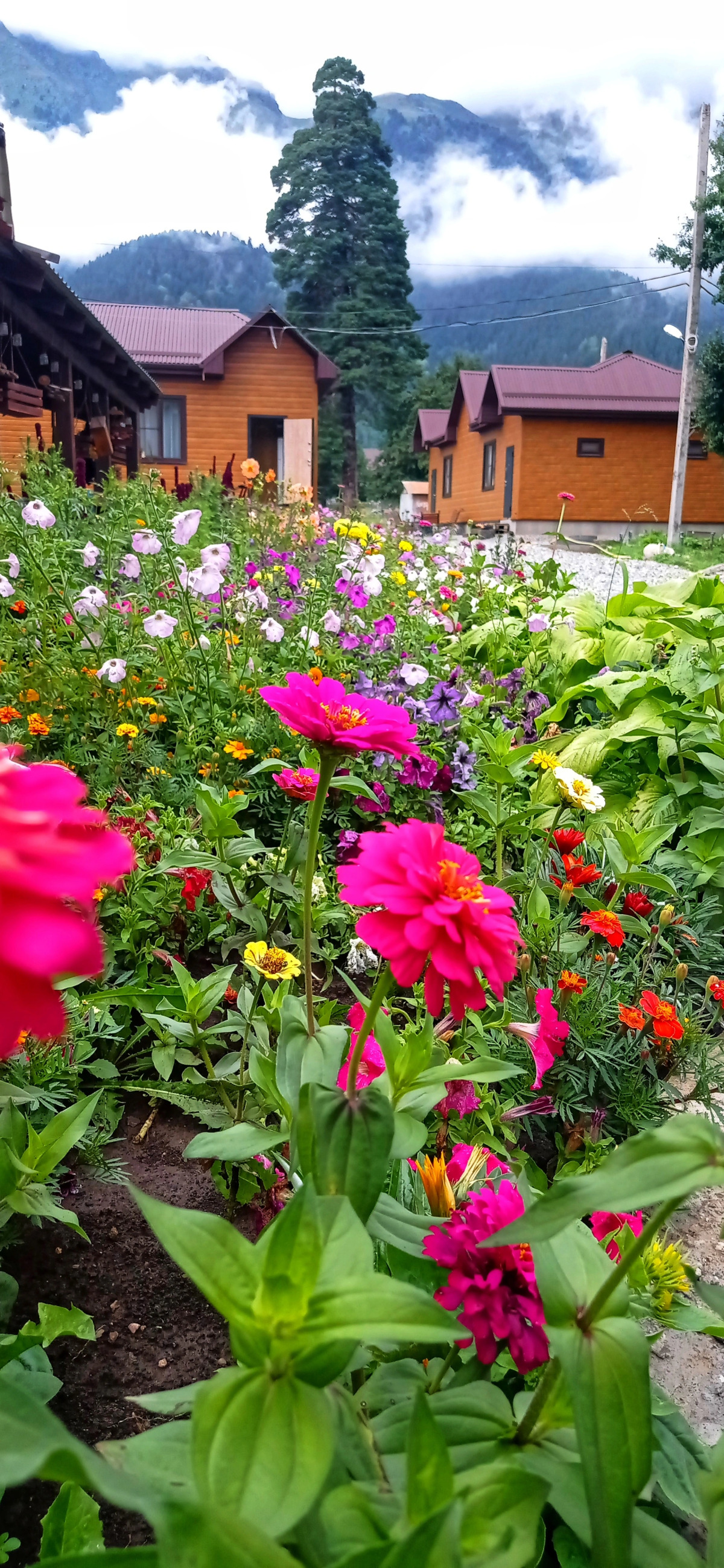 Гостевой Дом Solaris