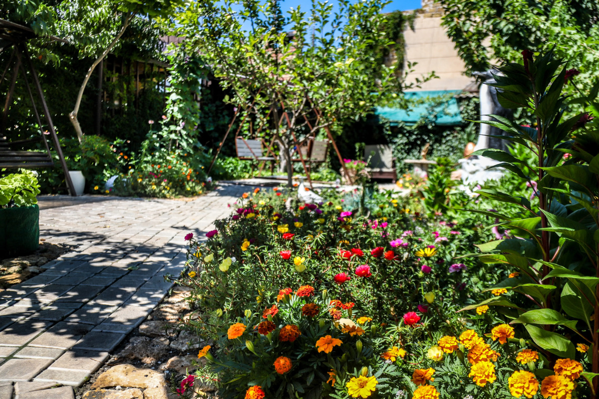 Гостевой дом Усадьба Дом Дракона