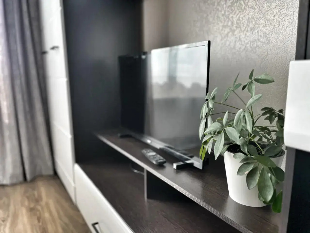 Квартира Елена Озерки