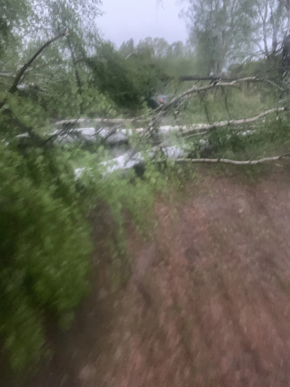 Гостевой дом Глаз орла