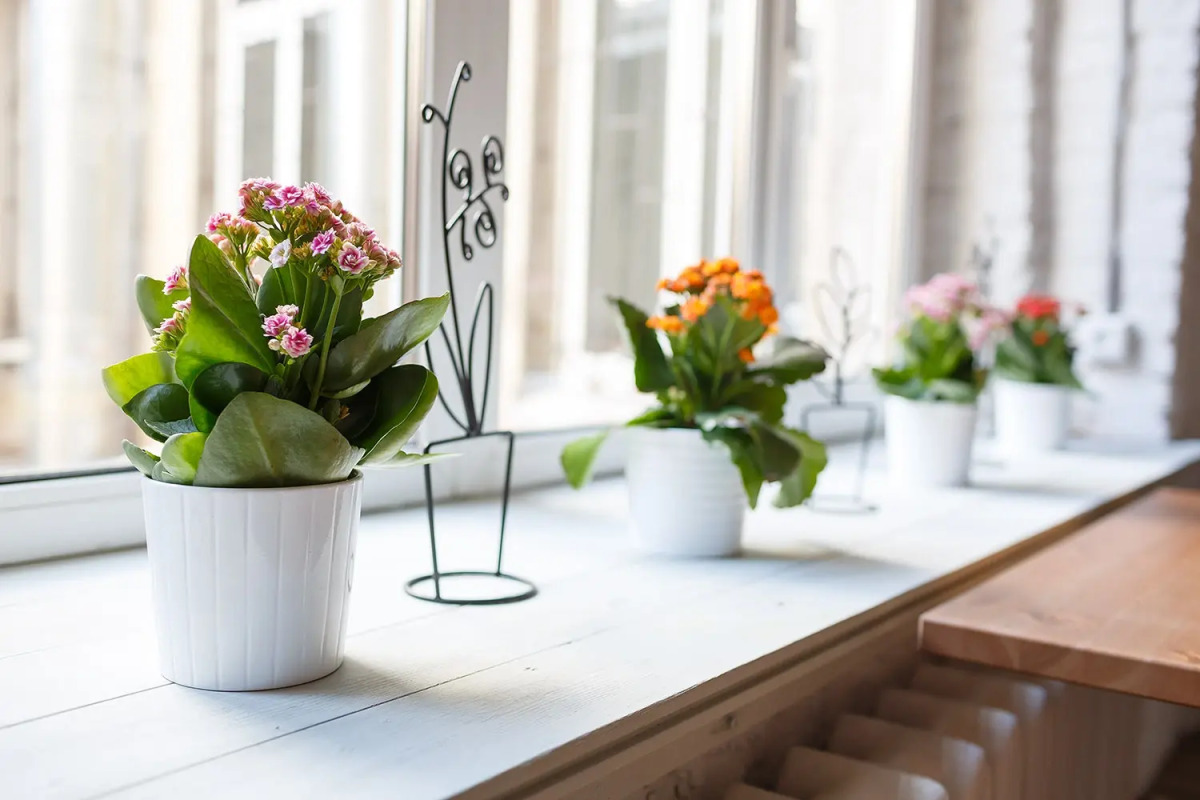 Меблированные комнаты Simple Neo Nevsky