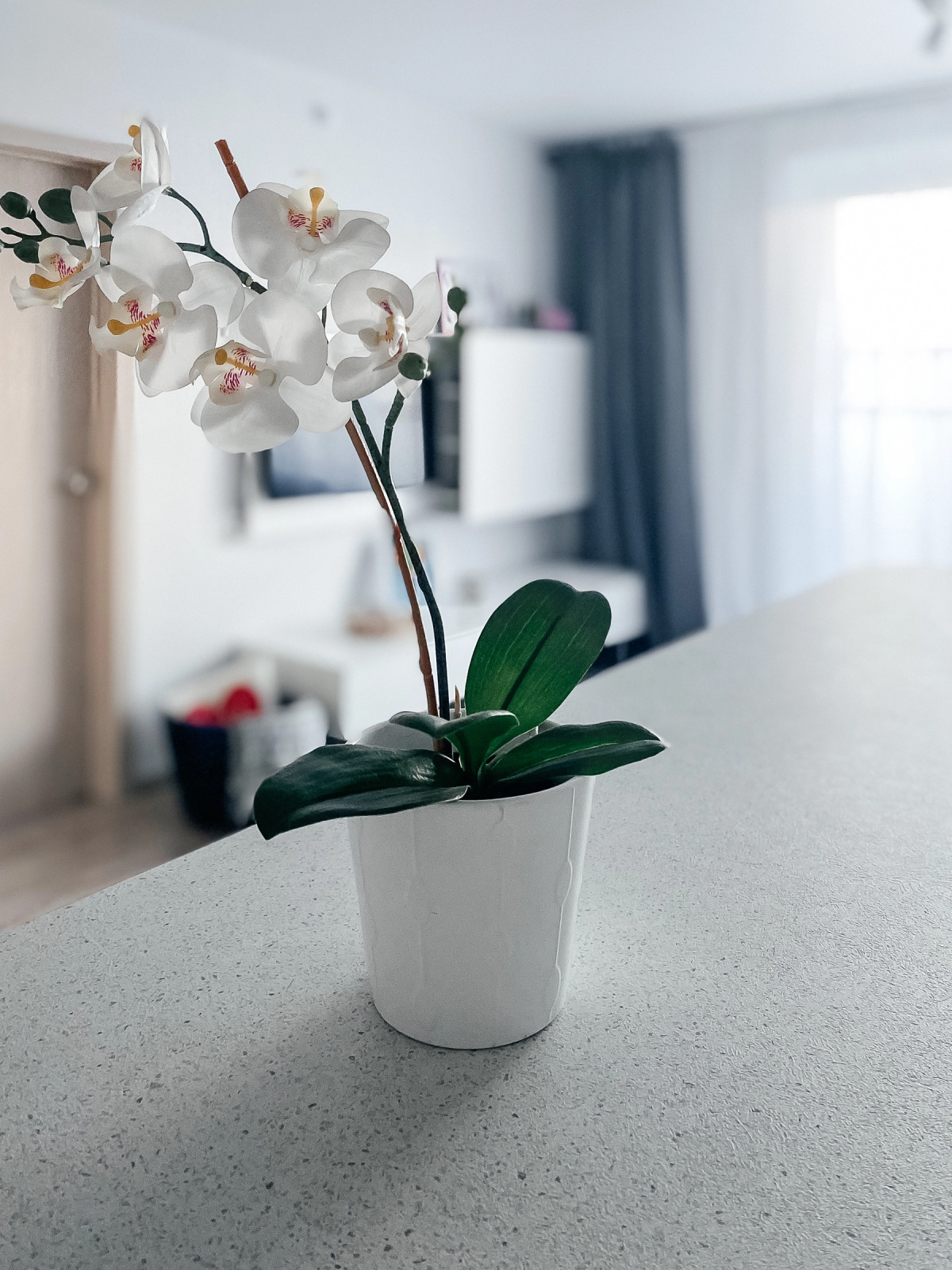 Апартаменты Евродвушка на Овчинникова 18