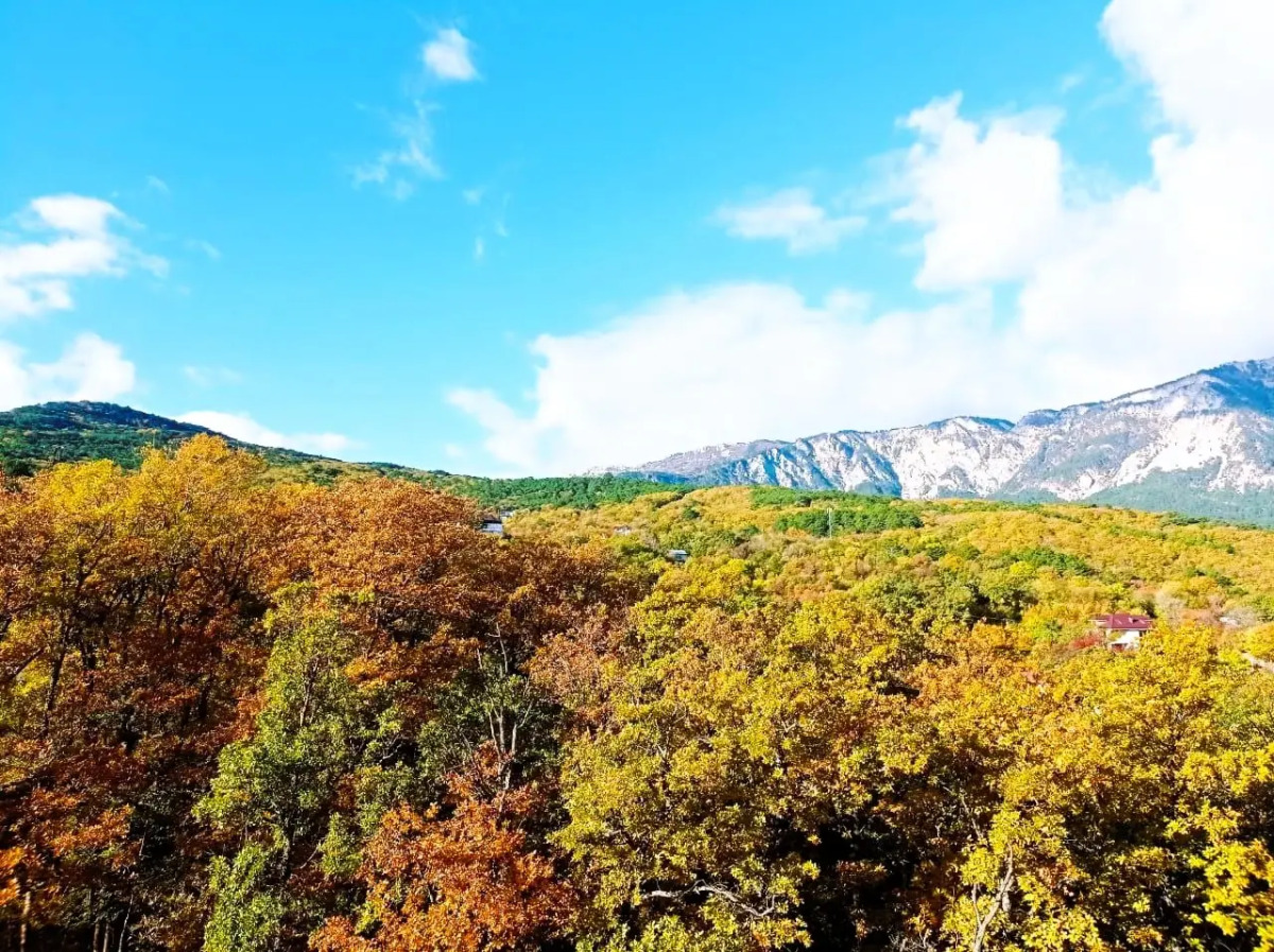 Квартира-студия с панорамным видом на горы