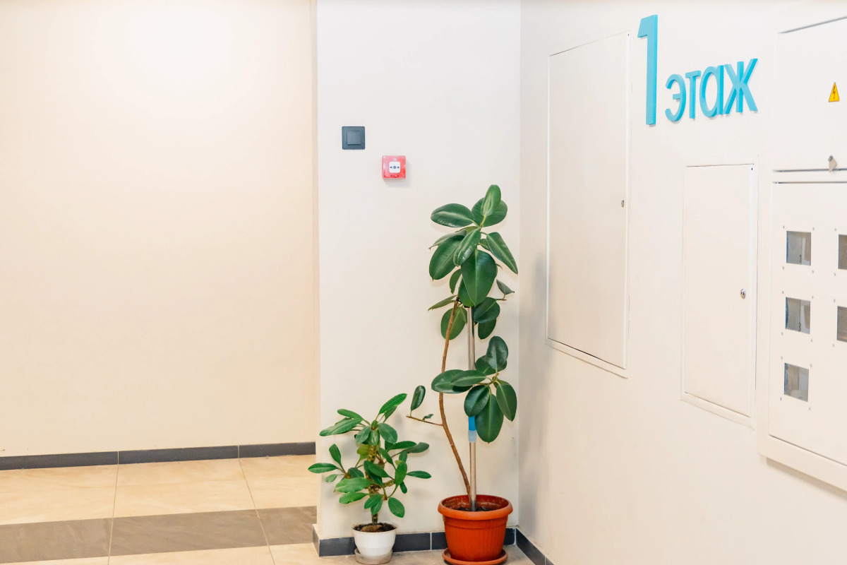 Квартира - Студия