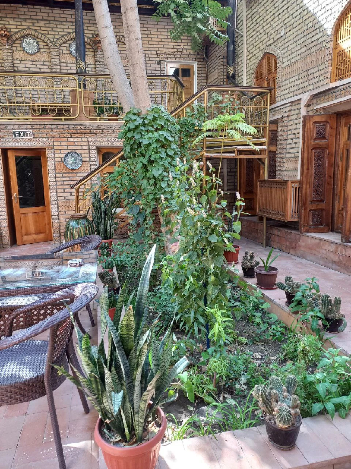 Отель Sasha & Son