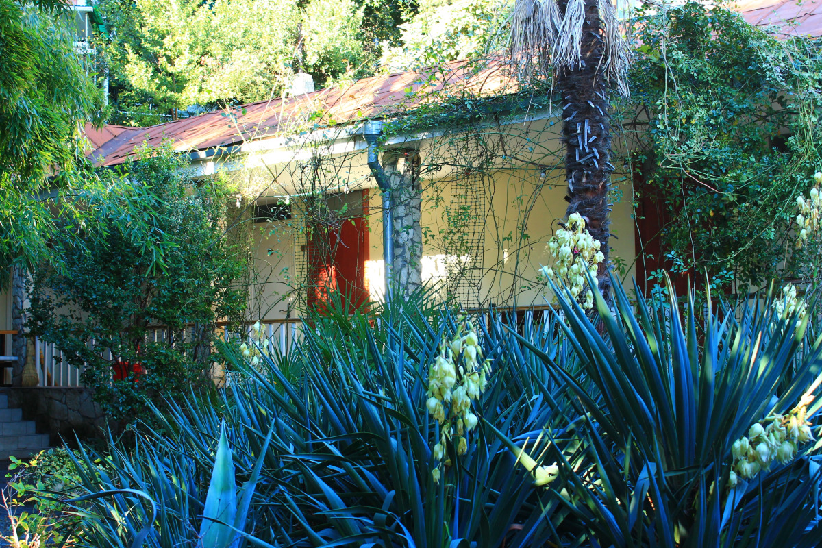 Гостевой дом Летний Дворик