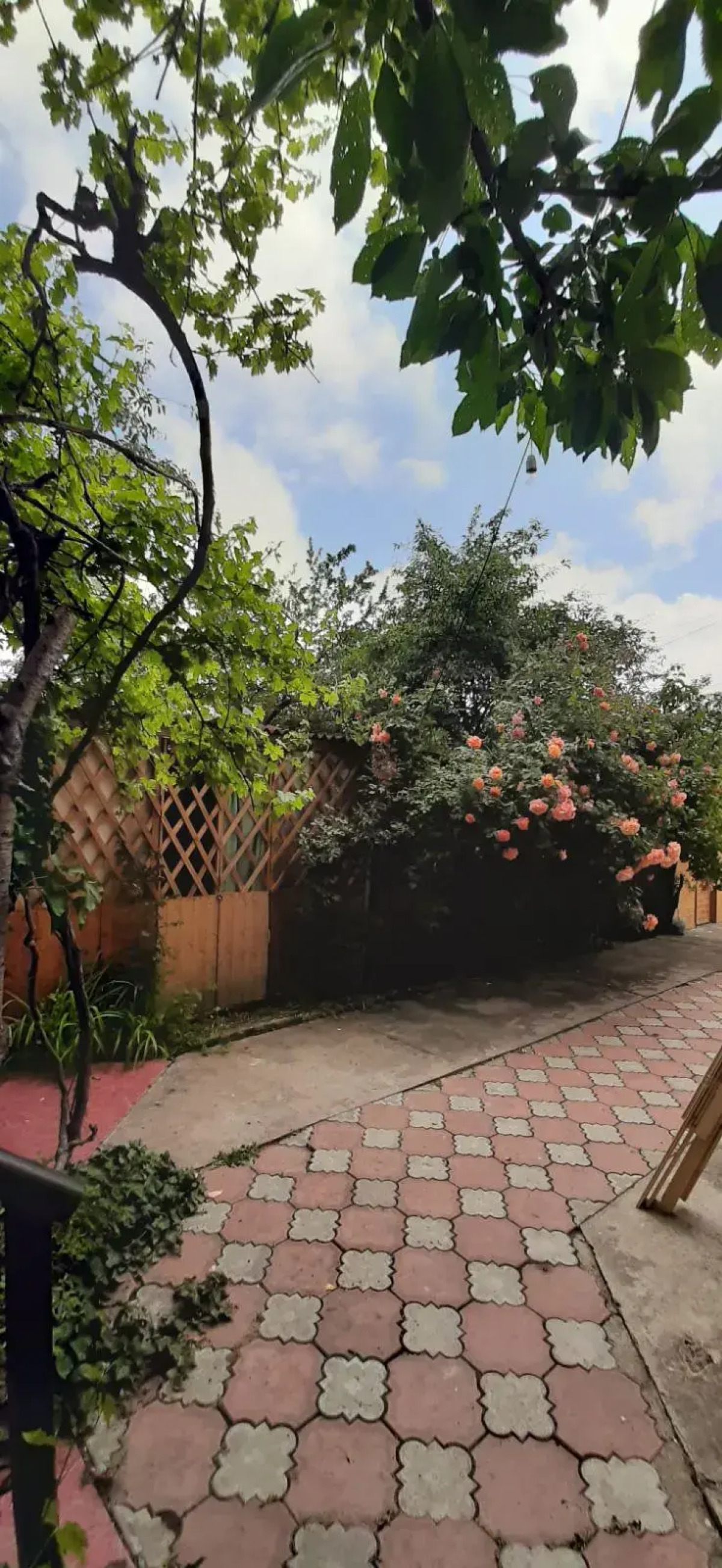 Гостевой Дом Viktoria